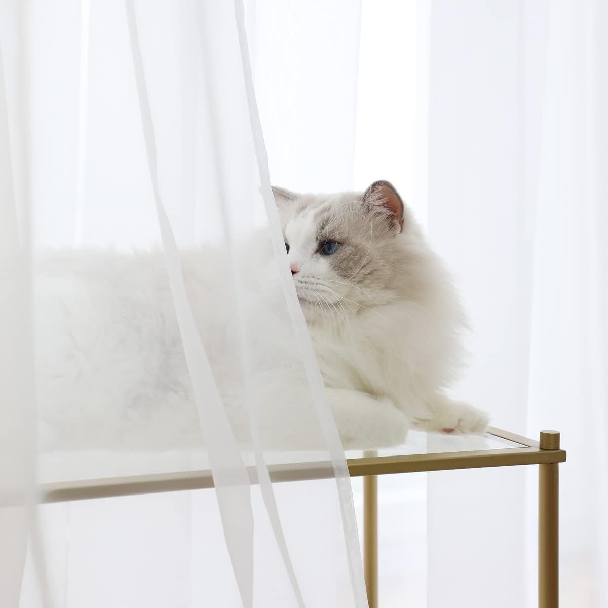 Window White Sheer Curtains 84 Inches Length 2 Panels Voile Light Filtering Sheer Curtain Panel Drapes Treatment For Bedroom Living Room Children Room Kitchen Yard (White, 52" W x 84" L | 2 pcs)