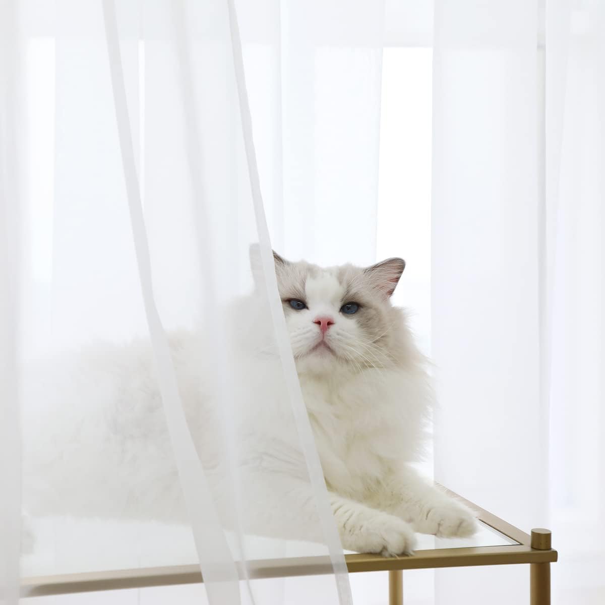 Window Sheer Curtains 84 Inches Long 2 Panels White Sheer Curtain Clear Transparent Basic Rod Pocket Panel 15 Colors 10 Size for Bedroom Living Room Yard Kitchen