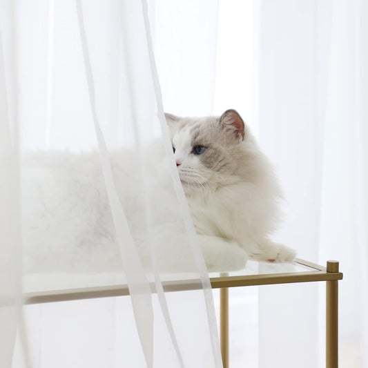 Window White Sheer Curtains 84 Inches Length 2 Panels Voile Light Filtering Sheer Curtain Panel Drapes Treatment For Bedroom Living Room Children Room Kitchen Yard (White, 52" W x 84" L | 2 pcs)